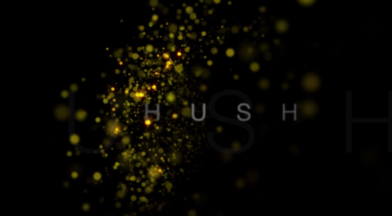 The Last of Us - Hush
